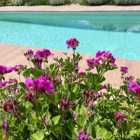 Casa Priscilla Apartament