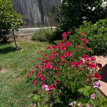 Casa Priscilla דירה